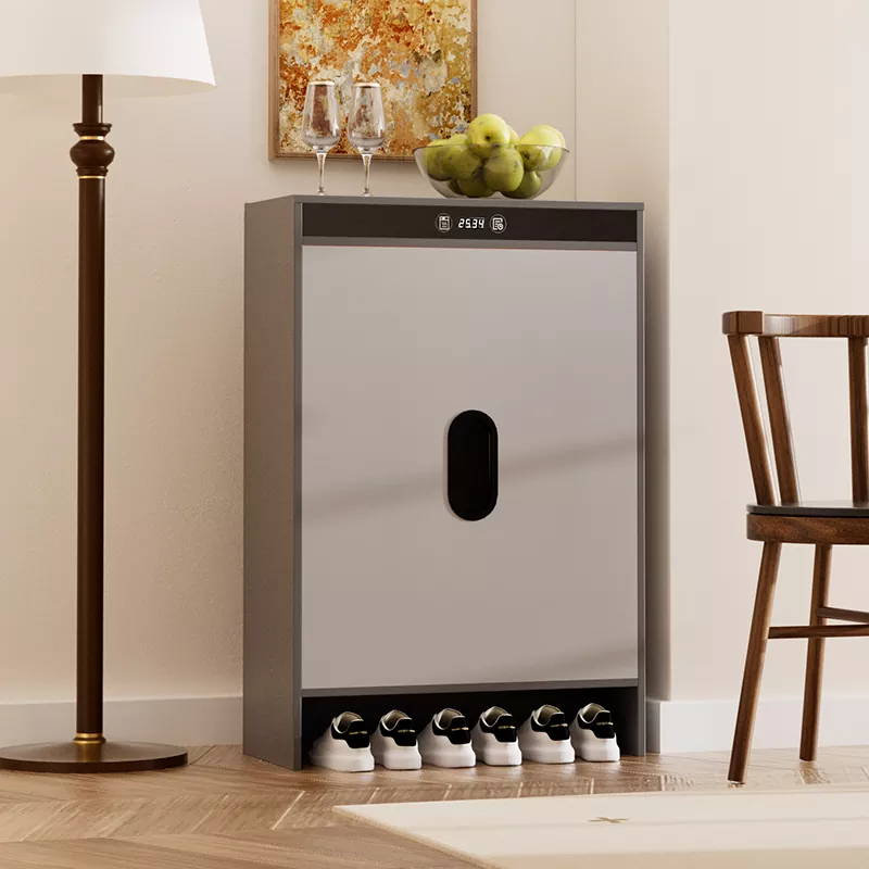 Graphene Electric Heating Timing Trocknungsschuhschrank