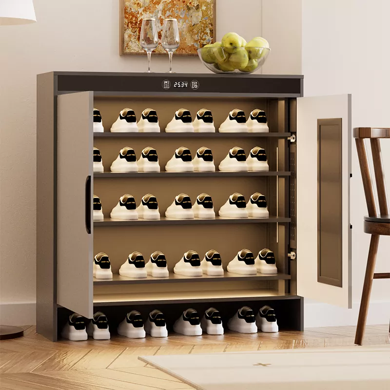 Graphene Electric Heating Timing Trocknungsschuhschrank